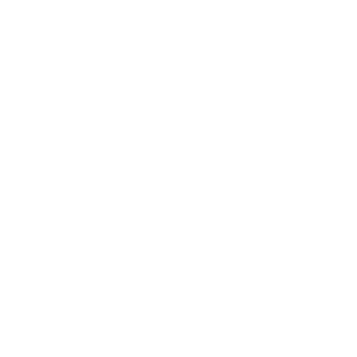 動画を再生する